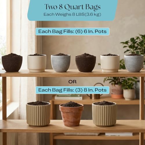 Rosy Soil Houseplant Potting Soil, 8 Quarts, Pack of 2 - Image 6