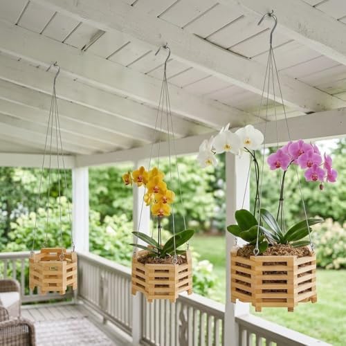 6", 8" & 10" Wooden Orchid Baskets with Hangers for Ferns & Vandas, 3 Pack - Image 6