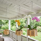6", 8" & 10" Wooden Orchid Baskets with Hangers for Ferns & Vandas, 3 Pack - Image 6