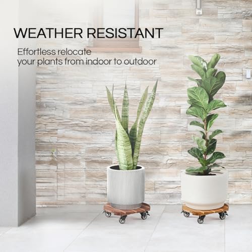 THYOI 2 Pack 12" Acacia Wood Plant Caddy with Lockable 360° Caster Wheels, 300 LB Heavy Duty Rolling Stand for Indoor Outdoor Planter Pots, Wooden Dolly for Patio (Golden Teak, Round) - Image 6