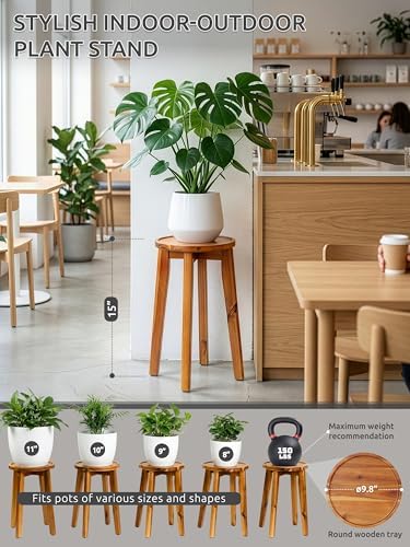 Demigo 15 in Tall Plant Stand, Acacia Plant Shelf for Indoor & Outdoor Use - Image 2