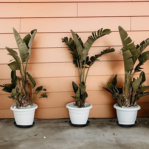 OUPSAUI 5 Pack 4 10 12 14 16 18 20 22 Inch Plant Saucer, Plant Trays for Pots, Large Plastic Plant Saucers for Indoors, No Holes Planter Drip Tray (18 inch) - Image 3
