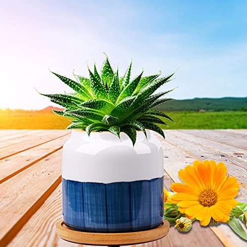 Succulent Pots, 3.5 Inch Small Succulent Planters with Drainage for Plants Live, Hand-Painted Ceramic Pot Flower Pots Bonsai Pots with Bamboo Tray, Unique Gifts for Women/Men, 4 Pack (Abstract) - Image 4
