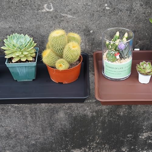 VUWEZ 2 Pack Plant Growing Nursery 1020 Trays, Plant Saucer Tray, Heavy Sturdy Seed Starting Trays, Plant Saucer for Indoors No Holes, Seed Starter Growing Tray (22"x11.2", Black) - Image 7