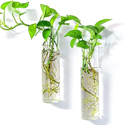 Kingbuy Wall Planter Terrariums Propagation Stations - 2 Cylinder Shaped and 2 Egg Shaped Glass Vases - Image 2