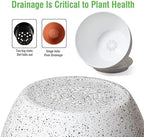 WOUSIWER Plant Pots 10/9/8 inch, Set of 3 Modern Decorative Plastic Planters with Drainage Holes and Saucers for House Plants Indoor Flowers Plants, White Speckles - Image 6