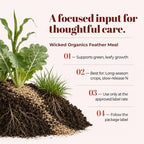 Old Cobblers Farm™ Wicked Organics Feather Meal Fertilizer - Slow Release Organic Nitrogen Plant Food for Corn, Brassicas, Garlic and Long Season Crops (5 lbs | 10 lbs | 15 lbs | 20 lbs) (5lbs) - Image 4
