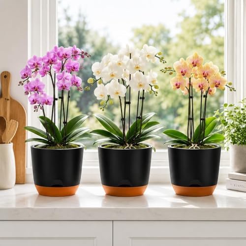 QCQHDU 7.2Inch Orchid Pots with Holes for Repotting, Double-Layer Plastic Self Watering Flower Pots for Indoor Plants with Drainage Holes, Clear Orchid Pot Match Decorative Orchid Container, 5 Packs - Image 6