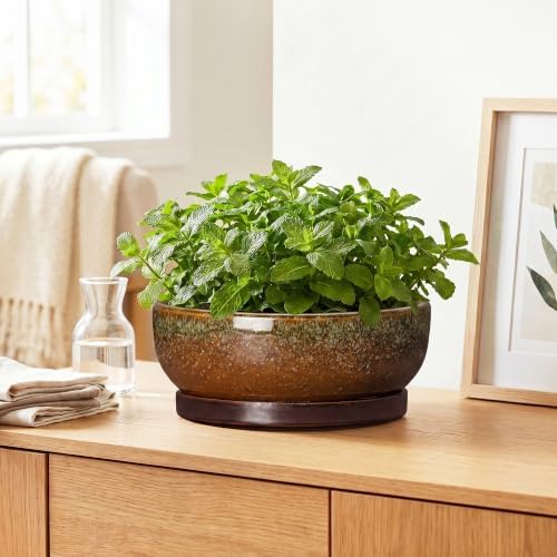 Bonsai Tree Pots 10 Inch, Ceramic Succulent Pots, Speckle Brown - Image 6