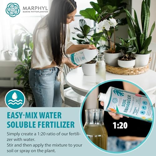 MARPHYL All-Purpose Plant Food – Organic Nutrient-Rich Fertilizer & Soil Enhancer for Indoor & Outdoor Flowers, Vegetables, Succulents, Bamboo & Hydroponics - Image 6