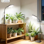 Grow Lights for Indoor Plants, 336-LED Desktop Plant Light - Image 6