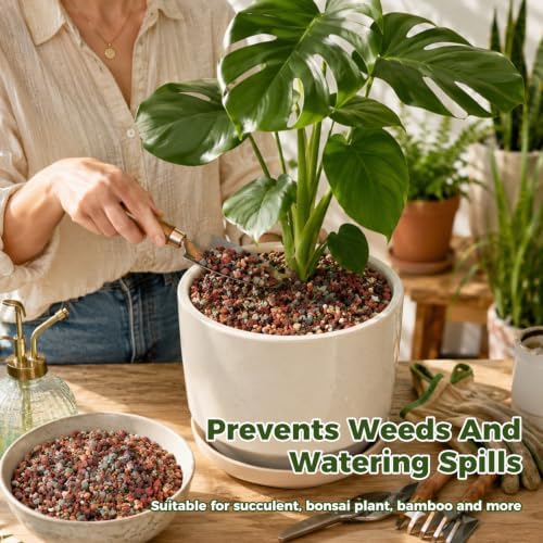 18 Pounds Mix Horticultural Lava Rocks, 3-6 mm Lava Rocks for Plants, Bonsai Rocks Horticultural Grit Soil Cover Gravel for Succulents and Hydroponics, Fairy Gardening, Top Dressing, Plant Drainage - Image 6