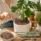 18 Pounds Mix Horticultural Lava Rocks, 3-6 mm Lava Rocks for Plants, Bonsai Rocks Horticultural Grit Soil Cover Gravel for Succulents and Hydroponics, Fairy Gardening, Top Dressing, Plant Drainage - Image 6