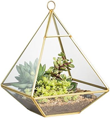 NCYP Geometric Glass Terrarium for Succulent, Air Plants - 5.9x5.9x7.87 Inches - Wall Hanging Glass Planter Pot, Home Garden Tabletop Decoration, Gold (Terrarium Only) by NCYP