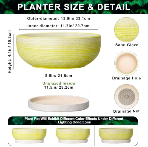 Succulent Pots, 13 Inch Ceramic Bonsai Tree Pots, Brushed Yellow - Image 2