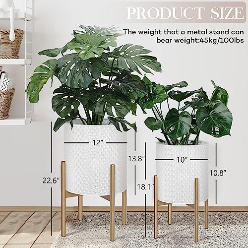 Oakrain Set of 2 Modern Planters with Stand for Indoor Outdoor Plants - Image 2