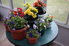 Set of 6 HG with Saucer Qty 2 7 inch, Qty 2 9 inch, Qty 2 11 inch Copy - Image 5