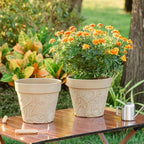 Melphoe Plant Pots Indoor with Drainage & Saucer, 2Pack 10 inch Flower Pots Outdoor Planters for Indoor Plants Garden Home Decor Cactus Succulent, Rigid Plastic (Imitation-Terracotta) Vine-Embossed - Image 4