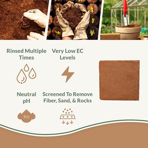 Coco Bliss (10lbs) + Myco Bliss Granular (2lbs) - Organic Coco Coir for Plants & Mycorrhizal Fungi Inoculant - Mycorrhizae for Plants - Coconut Soil Coconut Coir Brick - Gardening & Potting Soil Mix - Image 2