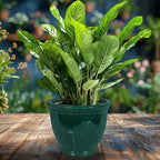 Sunnydaze Studio 15" Round Ceramic Planter, Dark Green Glaze - Image 6