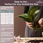 GARDENWISE Orchid Potting Mix – Orchid Bark, Sphagnum Moss, Tree Fern & Perlite for Repotting Phalaenopsis Orchids, Indoor Plants, Orchid Soil Medium – Sustrato para Orquídeas (4 Quart) - Image 6