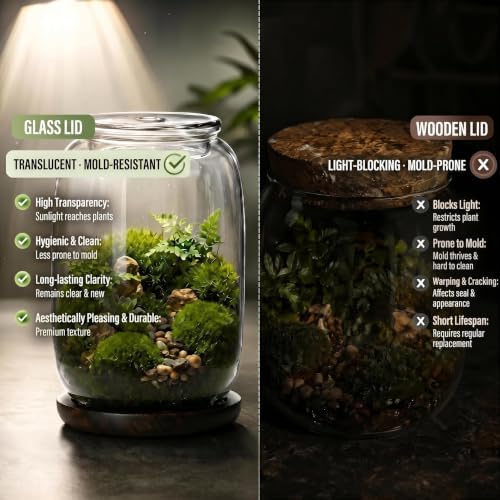 Glass terrariums for Plants .Venus Fly Trap Terrarium jar with Lid and Base. for Succulents, Moss.Indoor Home Decor.Mini Garden Planter - Image 5