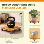 Jurax 2Pcs Wood Plant Caddy, Rolling Plant Stand, Square, Golden Teak - Image 4