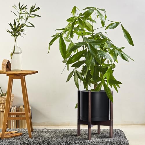 D'vine Dev Plastic Pot with Walnut Wood Stand, Black, 10 in, 55-C-L-2 - Image 4