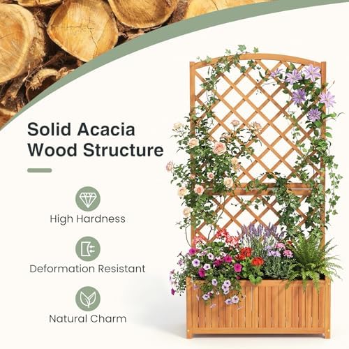 S AFSTAR Wooden Raised Garden Bed with Trellis, 63" Tall Planter Box with Drainage for Vines Climbing Plants Flowers Herbs, Elevated Gardening Planter for Backyard, Balcony & Patio - Image 2