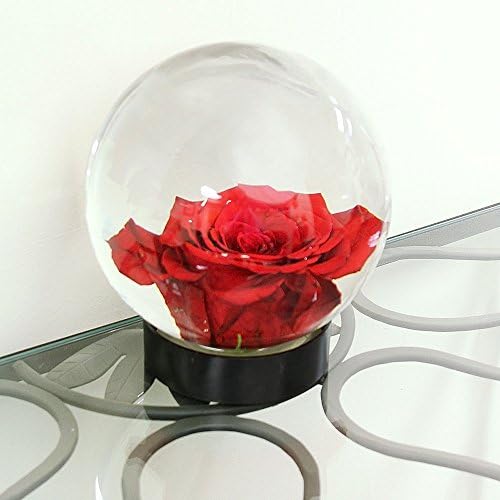 Achla Designs Glass Flower Aquarium, Globe Vase - Image 4