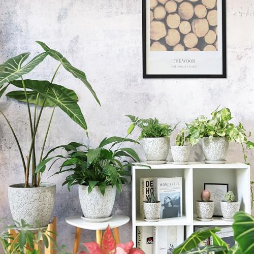 8 Inch + 6 Inch Retro Ceramic Planter Set of 2 with Drainage Hole and Saucer for Multiple Plants, Indoor-Outdoor Garden Pots for Succulent, Orchid, and Flower (Retro White) - Image 6