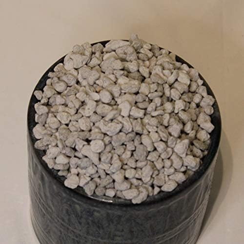 Horticultural Pumice - 14 Dry quarts - Cactus Succulent Soil Amendment - Image 3