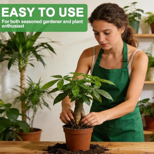 All-Natural Money Tree Soil & Indoor Potting Mix 10QT - Drainage-Enhanced Plant Soil for Healthy Indoor Plants - Image 5