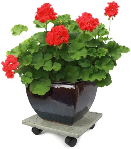 Plastec CD712 Terra Stone Plant Caddy, Gray - Image 2