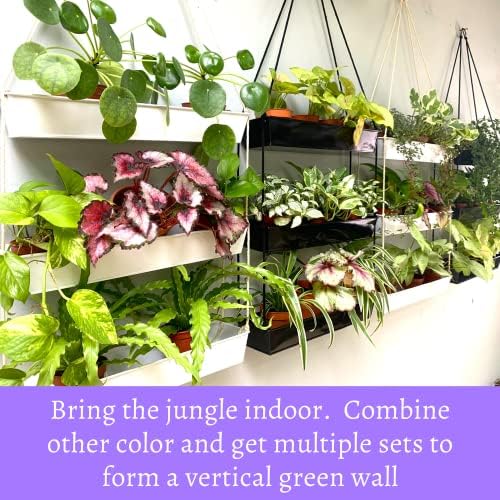 LaLaGreen 16 Inch Wall Mounted Tiered Planter for Indoor Succulent Plants, 3 Tier Modern Black Rectangular Metal Planter - Image 3
