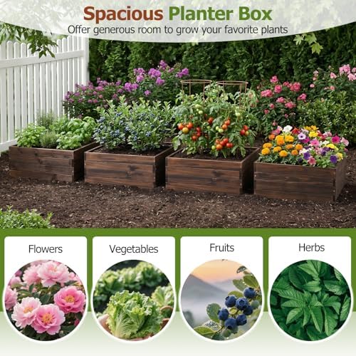 GIANTEX Wooden Raised Garden Bed Set 2, 23" x 23" Square Fir Wood Planter Box with Open-Ended Base for Vegetables Flowers Herb, Indoor Outdoor Elevated Planter Container for Patio Yard Garden Balcony - Image 2
