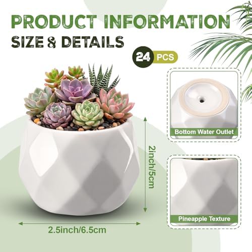 24 Pack 2.5 Inch Small Succulent Pots, White, Fashion - Image 2