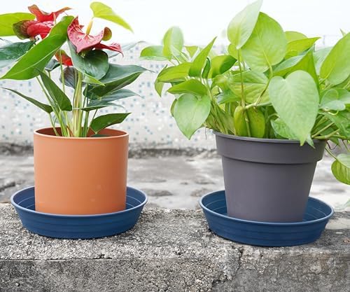 LWALRS Plant Saucer 14 Inch 4 Pack 6 8 10 12 14 16 18 20 25, Plastic Plant Trays for Pots，Extra-Deep Plant Water Dray Tray, Bird Bath Bowl, Heavy Flower Plant Saucers Indoors and Outdoor No Holes - Image 5