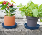 LWALRS Plant Saucer 14 Inch 4 Pack 6 8 10 12 14 16 18 20 25, Plastic Plant Trays for Pots，Extra-Deep Plant Water Dray Tray, Bird Bath Bowl, Heavy Flower Plant Saucers Indoors and Outdoor No Holes - Image 5