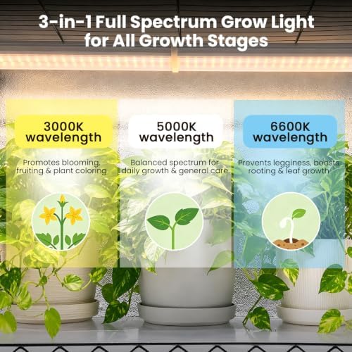BAOSHISHAN 4 Tier Indoor Greenhouse with Grow Light 72W Full-Spectrum - Image 2