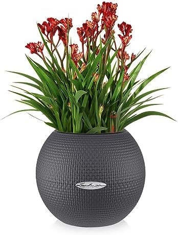 Lechuza Puro Colour 20 + Macrame Slate Grey 13354 - Image 2
