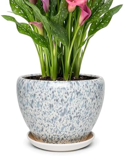 9.5 Inch Ceramic Plant Pot with Drainage Hole Mesh Net,Modern Gardening Pots for Indoor Plants with Saucer, Spotted Blue by Unknown