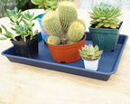 VUWEZ 2 Pack Plant Growing Nursery 1020 Trays, Plant Saucer Tray, Heavy Sturdy Seed Starting Trays, Plant Starter Trays for Indoors No Holes, Seed Starter Growing Tray (22"x11.2", Blue) - Image 5