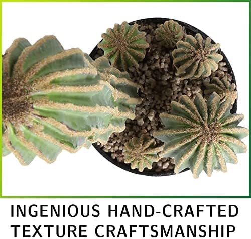 Artificial Cactus Fake Big Cactus 24 Inch Faux Cacti Plants for Home Garden Office Store Decoration - Image 4
