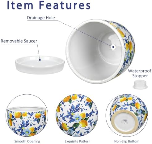 5.3+4.3 inch Ceramic Plant Pots, Set of 2 Blue and White Plant Pot with Drainage Holes and Saucers Small Lemon Indoor Planters Decorative Flower Pots for Succulents, Cacti, Snake Plants, and Herbs - Image 3