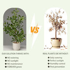 27" Indoor Faux Potted Plants Ficus Leaves Trees with Ceramic Pots - Image 5