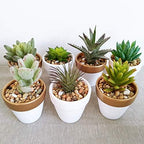 Winlyn 60 Pcs White Terra Cotta Pot - 2.5 Inch Tiny Mini Clay Pots with Drainage Holes Flower Nursery Terra Cotta Pots for Succulent Plants, Crafts, Wedding Baby Shower Favor - Image 5
