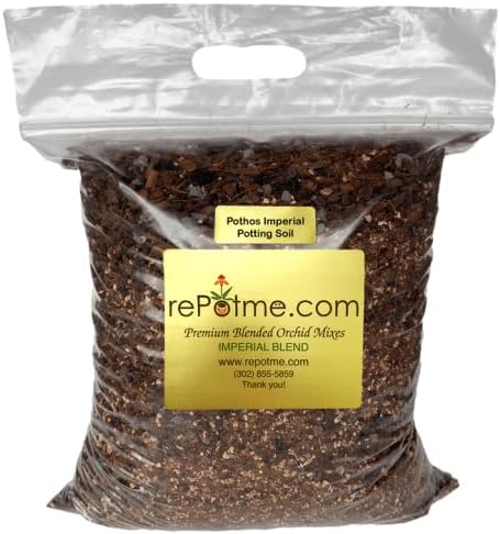 rePotme Pothos/Ivy Potting Soil for Indoor Plants - Imperial Houseplant Potting Soil Mix - Junior Bag (4 Quarts) by rePotme