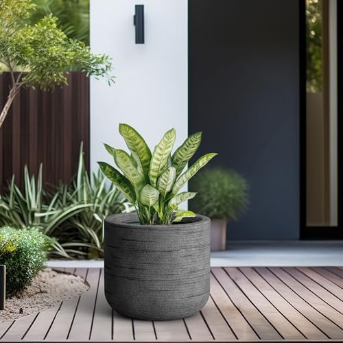 Kante Large Round Capsule Dark Gray Concrete Planter 13.8" Dia, Outdoor - Image 6