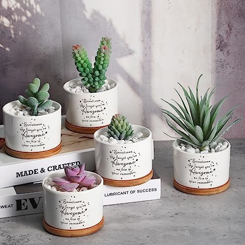 12 Pcs Inspirational Succulent Pots Thank You Gift Bulk for Women Employee Teacher Coworker Sometimes You Forget You're Awesome Small Ceramic Plant with Bamboo Trays for Office Staff - Image 5